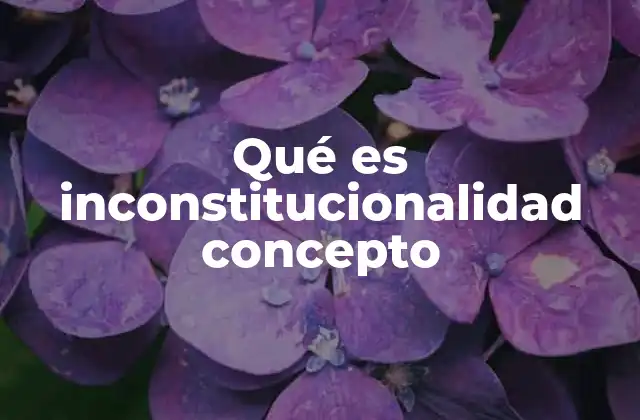 El papel del control de constitucionalidad en el sistema legal