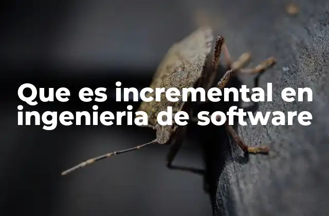 Que es Incremental en Ingenieria de Software
