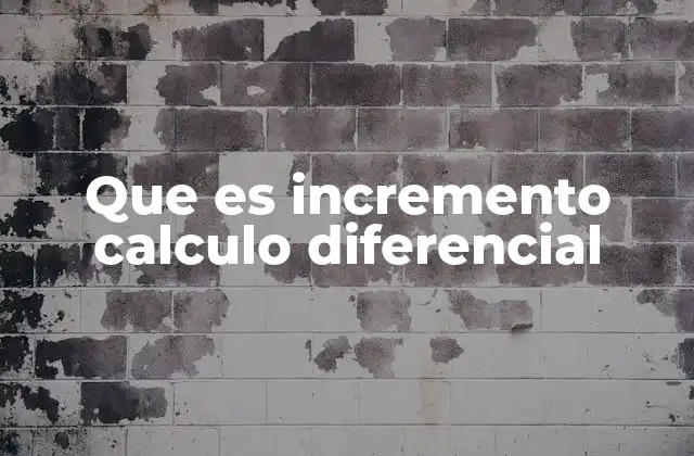 Que es Incremento Calculo Diferencial