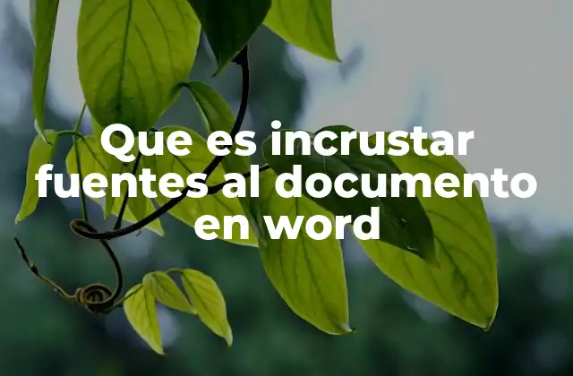 Que es Incrustar Fuentes Al Documento en Word