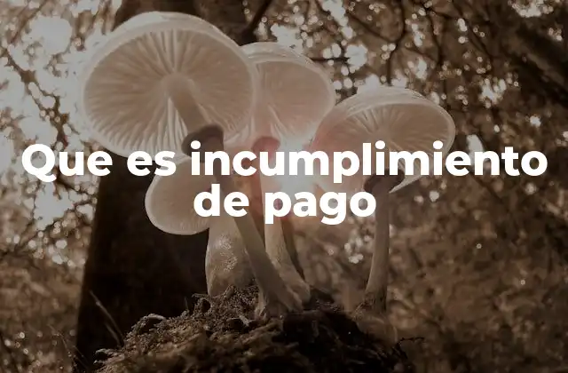 Causas y consecuencias del incumplimiento de pago
