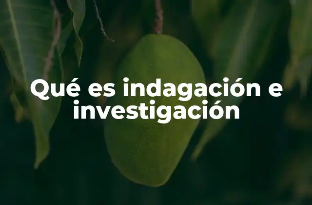 Qué es Indagación e Investigación