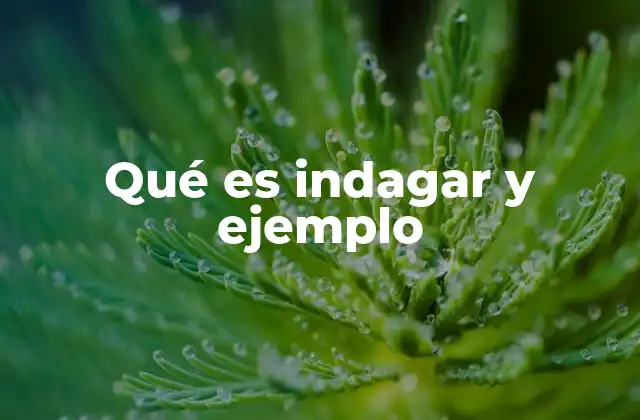 Qué es Indagar y Ejemplo