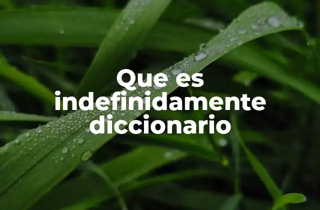 Que es Indefinidamente Diccionario