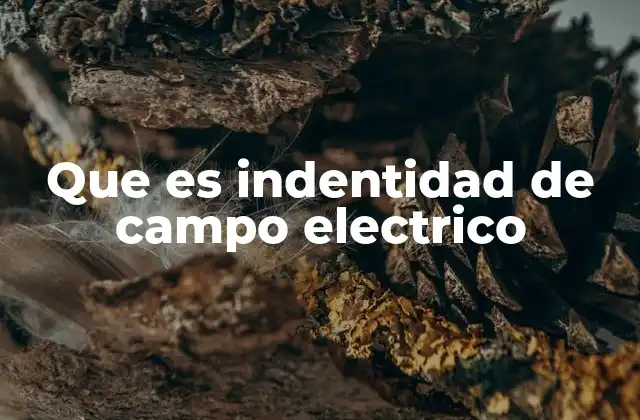 Que es Indentidad de Campo Electrico