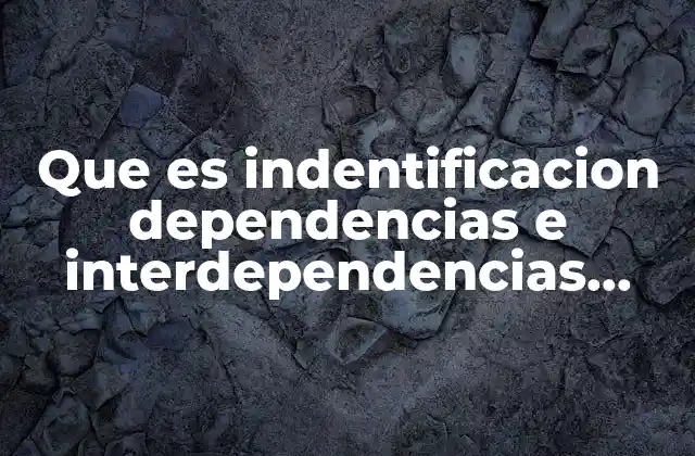 Que es Indentificacion Dependencias e Interdependencias Internas y Externas