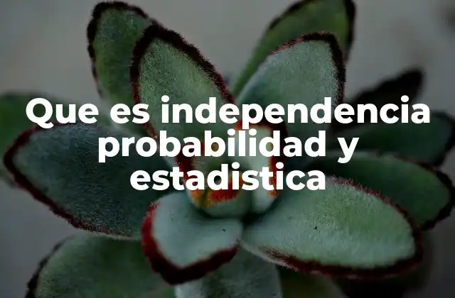 Que es Independencia Probabilidad y Estadistica 2 El papel de la independencia en el análisis estadístico