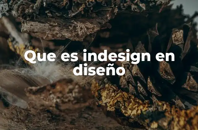 Que es Indesign en Diseño