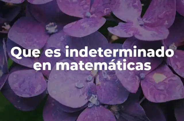 Que es Indeterminado en Matemáticas