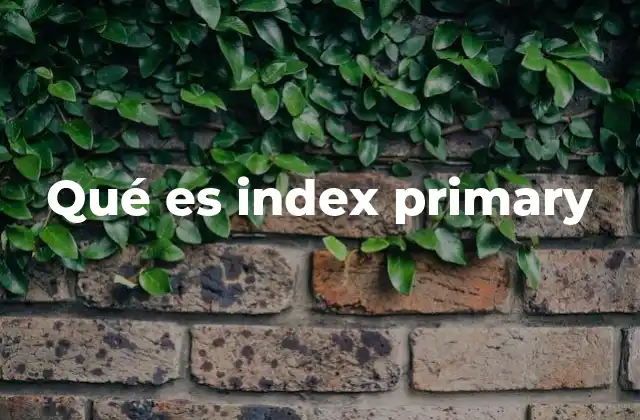 Qué es Index Primary