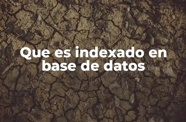 Que es Indexado en Base de Datos