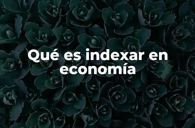 Qué es Indexar en Economía