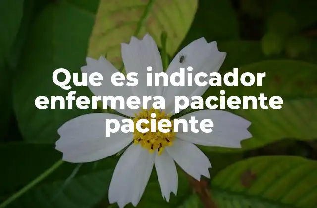 Que es Indicador Enfermera Paciente Paciente