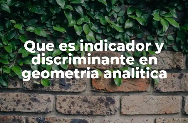 Que es Indicador y Discriminante en Geometria Analitica
