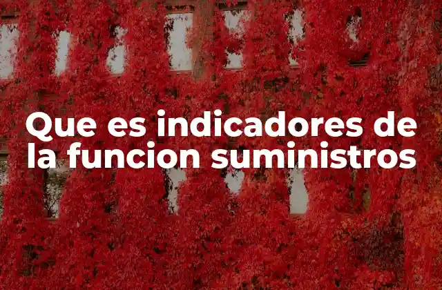 Que es Indicadores de la Funcion Suministros