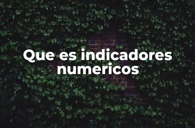 Que es Indicadores Numericos 2 La importancia de los indicadores en la toma de decisiones