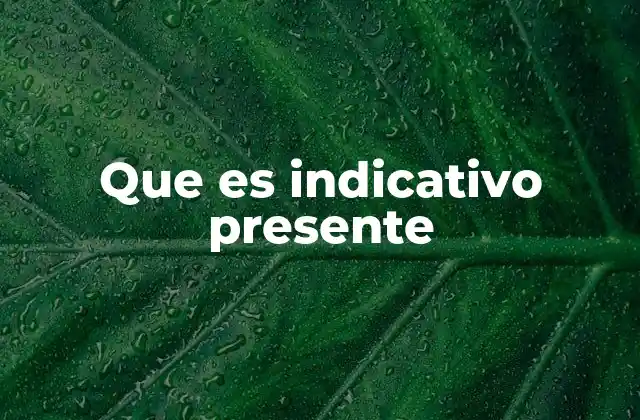 Que es Indicativo Presente