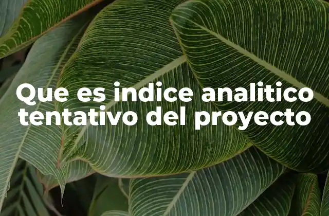 Que es Indice Analitico Tentativo Del Proyecto