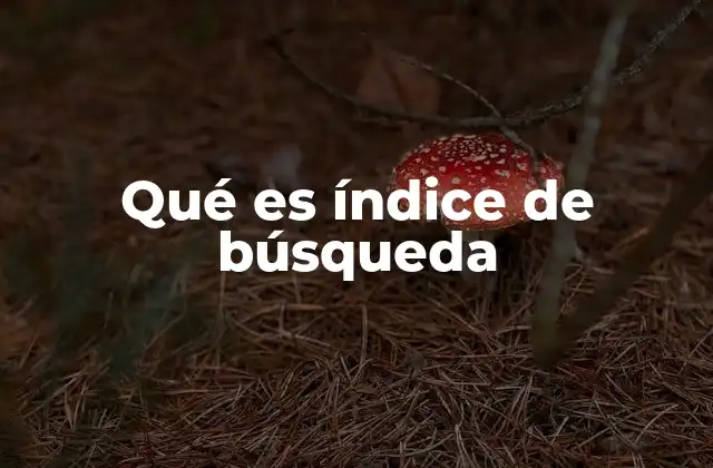 Qué es Índice de Búsqueda