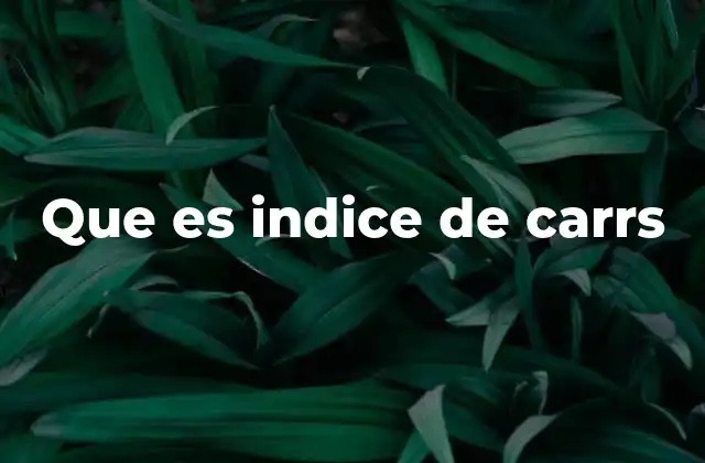 Que es Indice de Carrs