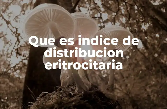 Que es Indice de Distribucion Eritrocitaria 2 El papel del índice de distribución eritrocitaria en la hematología