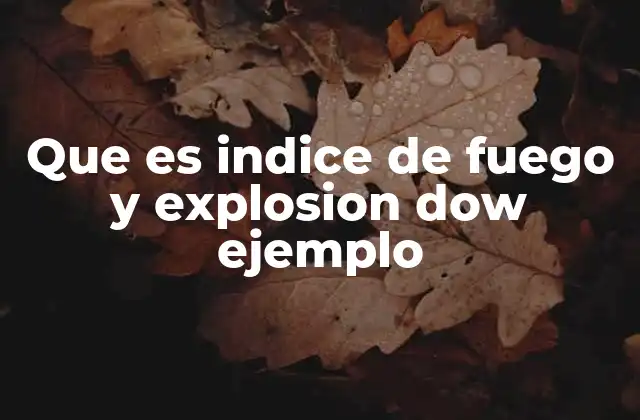 Que es Indice de Fuego y Explosion Dow Ejemplo