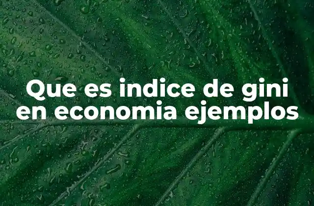 Que es Indice de Gini en Economia Ejemplos
