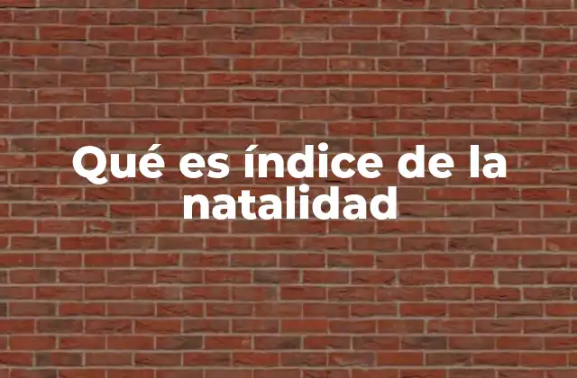 Qué es Índice de la Natalidad