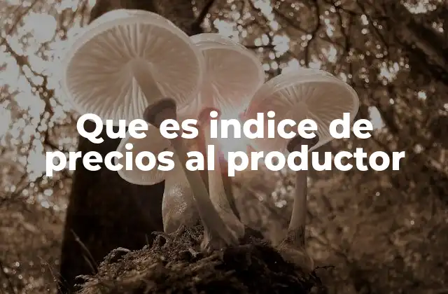 Que es Indice de Precios Al Productor