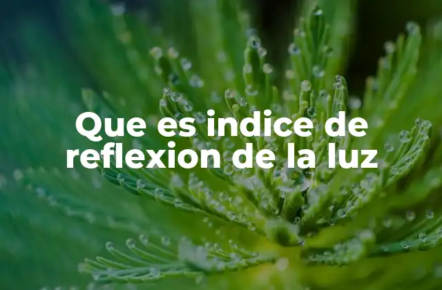 Que es Indice de Reflexion de la Luz