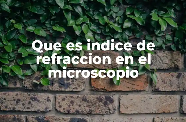 Que es Indice de Refraccion en el Microscopio