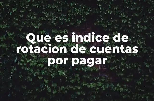 Que es Indice de Rotacion de Cuentas por Pagar