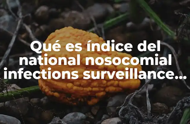 Qué es Índice Del National Nosocomial Infections Surveillance System