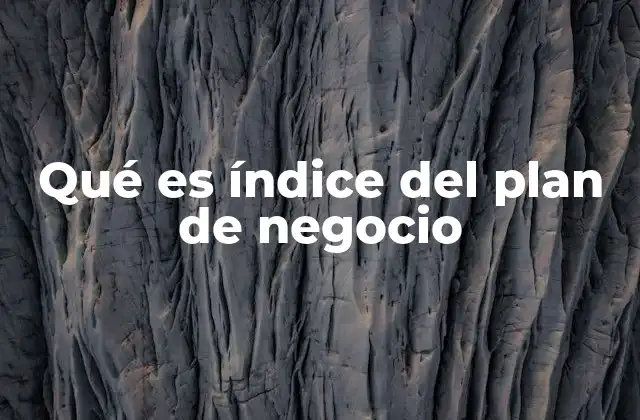 Qué es Índice Del Plan de Negocio