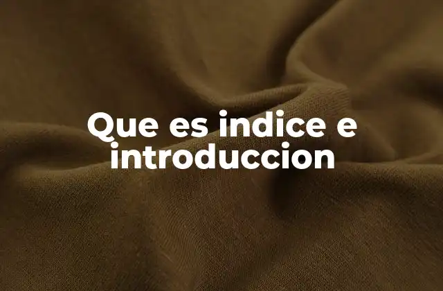 Que es Indice e Introduccion