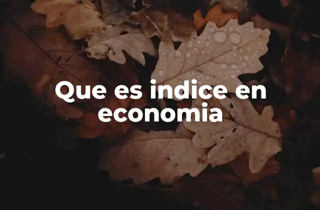 Que es Indice en Economia