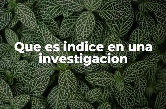 Que es Indice en una Investigacion