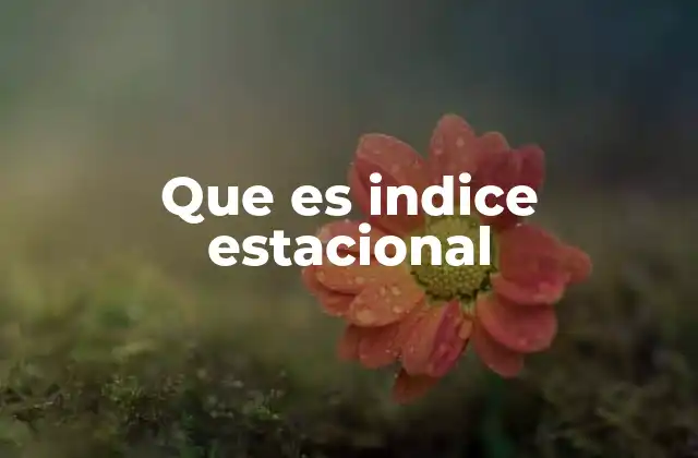 Que es Indice Estacional