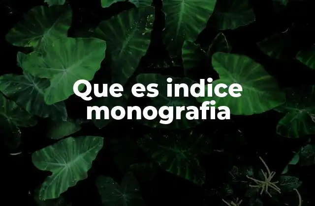 Que es Indice Monografia