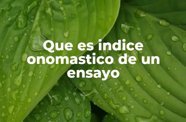Que es Indice Onomastico de un Ensayo
