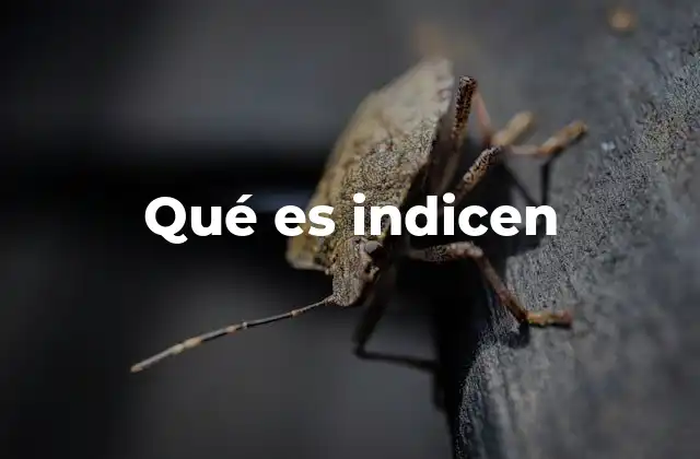 Qué es Indicen