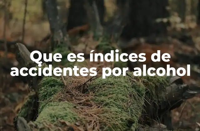 El impacto del alcohol en la seguridad vial