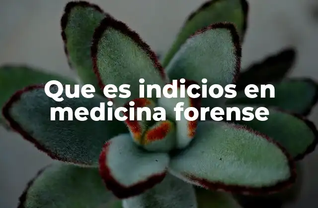 Que es Indicios en Medicina Forense