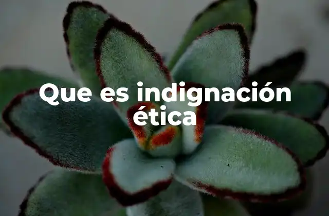 La indignación como motor de cambio social