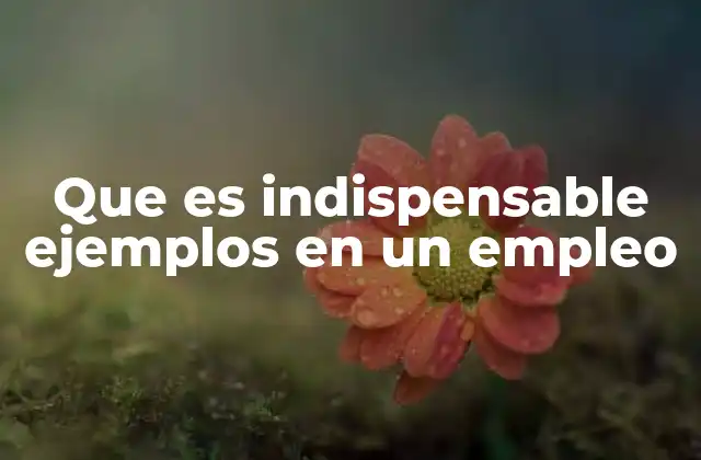 Que es Indispensable Ejemplos en un Empleo