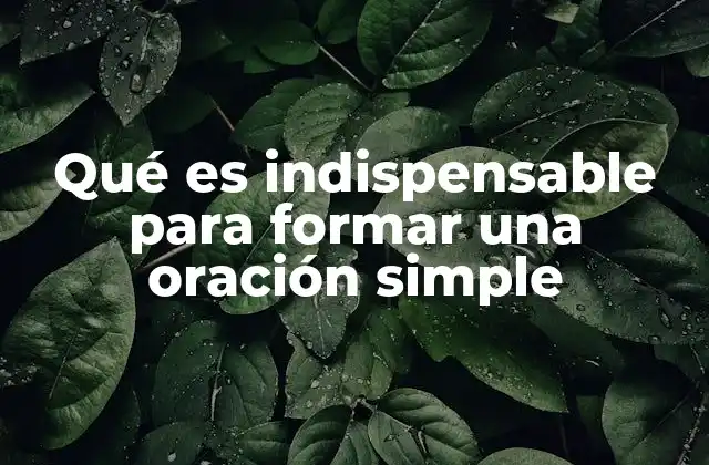 Qué es Indispensable para Formar una Oración Simple