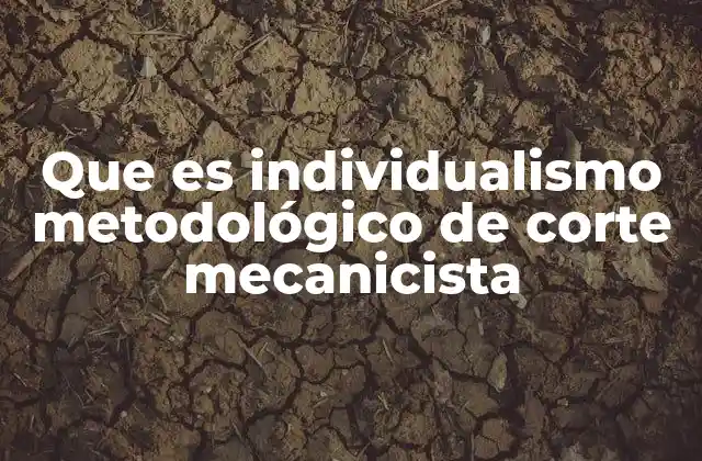 Que es Individualismo Metodológico de Corte Mecanicista