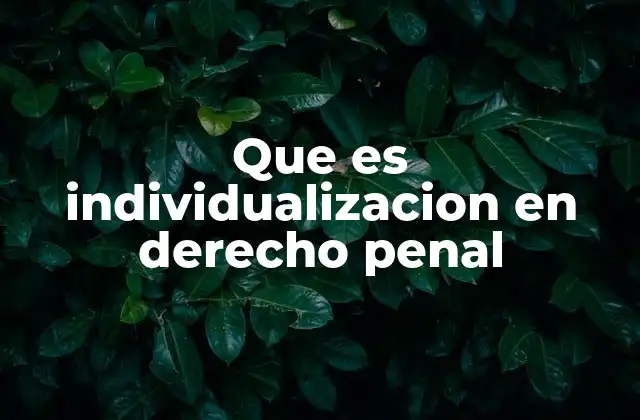 Que es Individualizacion en Derecho Penal