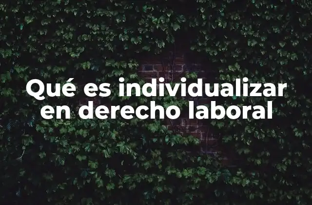 Qué es Individualizar en Derecho Laboral
