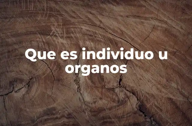 La relación entre el individuo y sus componentes